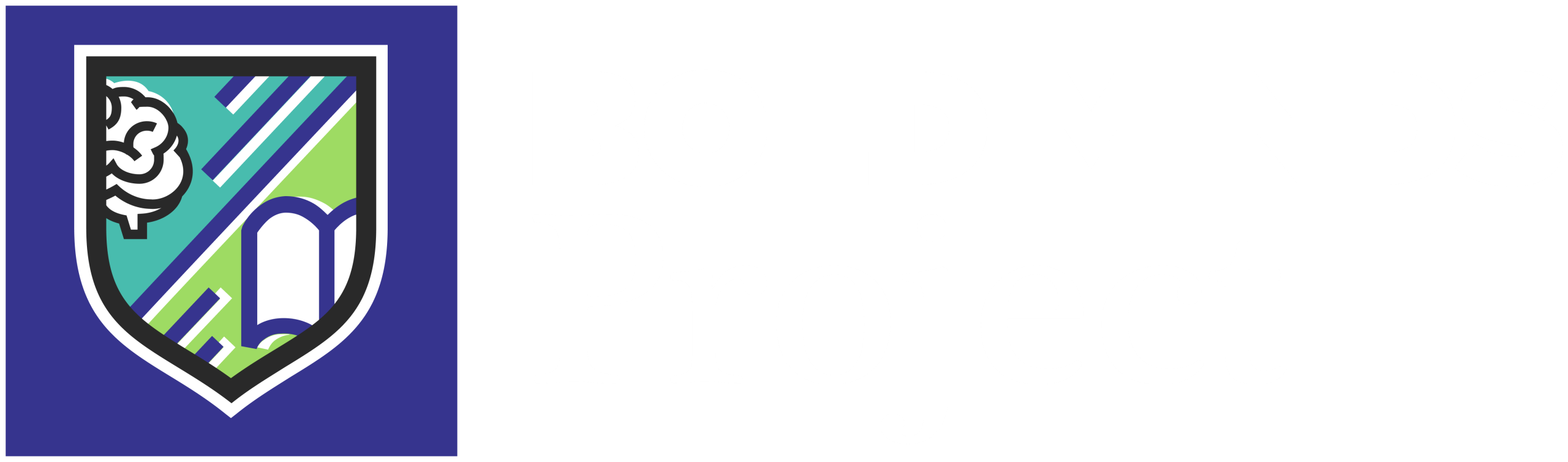 Bold Minds Project logo